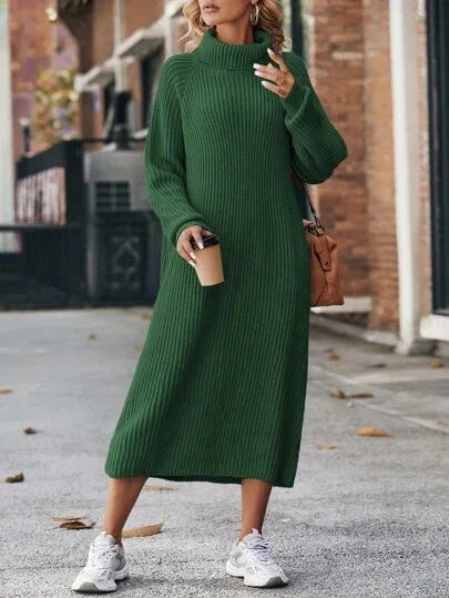 FLORENCE - RIBBED TURTLENECK DRESS