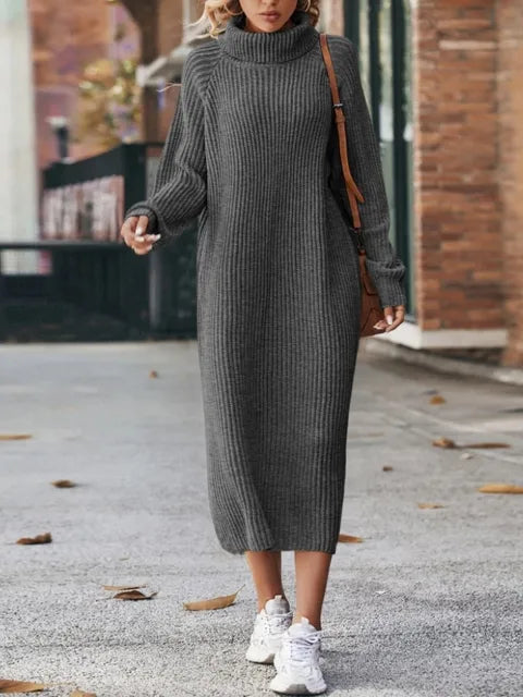 FLORENCE - RIBBED TURTLENECK DRESS